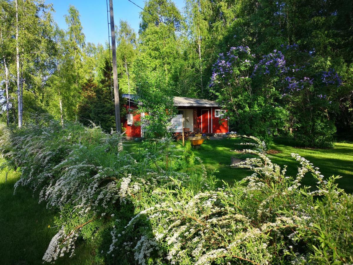 Koivuniemi Cottage Sakyla ภายนอก รูปภาพ